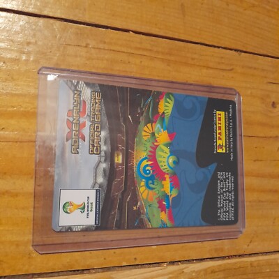 Arjen Robben/van Persie 2014 Panini World Cup Double Trouble card