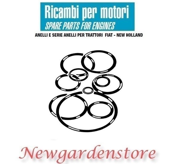 Serie Ringe Kupplung Pumpe Lenkung Traktor Fiat New Holland 10972 10C 14B FD20-image