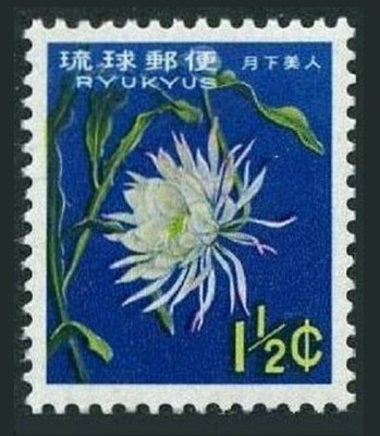 墨絵　時代額　(K) 現代水墨画家☆絵師白道 「Full colorful GENBU」（直筆作品