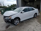 Picture 4 of 4