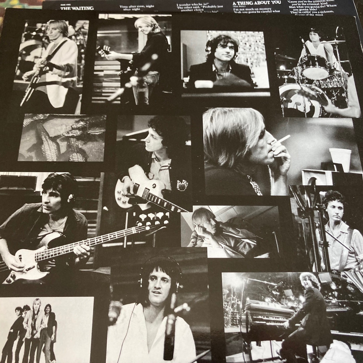 Picture 5 of 11
