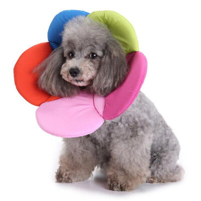 Recovery Cone Pet Cat Dog Soft Anti-Lick Cone Adjustable Protective Collar WA