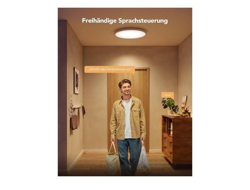 Govee Deckenleuchte RGBIC Smart, 24W Ø30cm Led - Bild 3 von 7