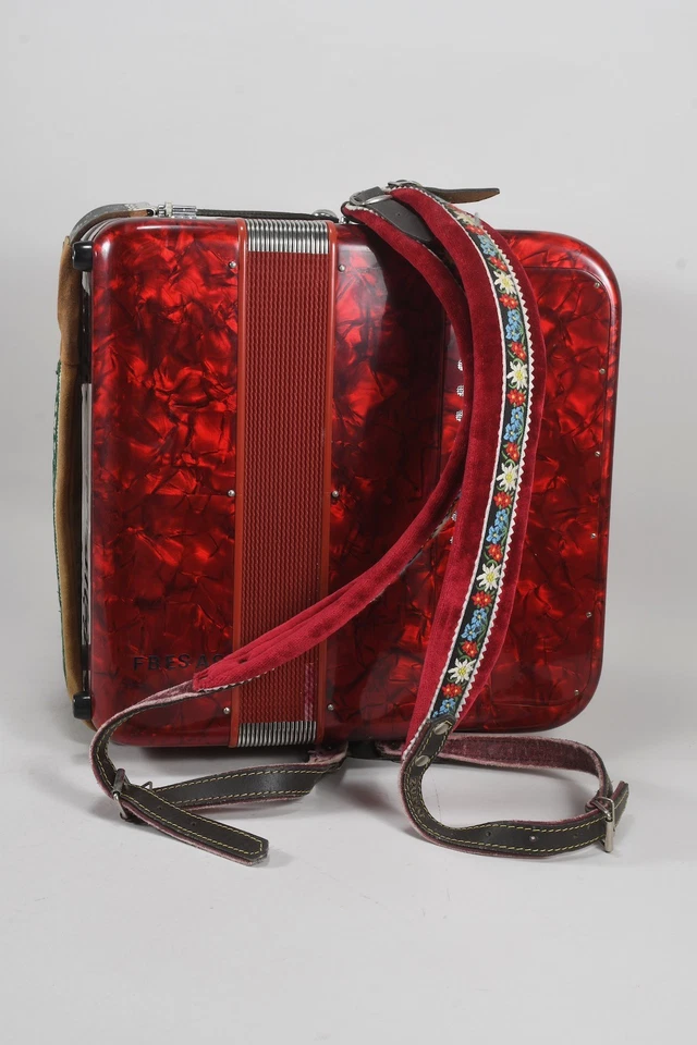 N95S01- Georg Öllerer acordeón armónica con estuche - Imagen 3 de 4