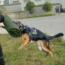 Handle Young Dog Agility Bite Tug Sleeve Biting Arm Training Protection θ