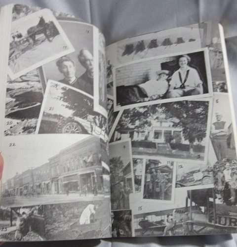1983 THE DEVIL MADE THE SMALL TOWN by DOROTHY LYONS, 1st Edition, Paperback - Picture 9 of 16