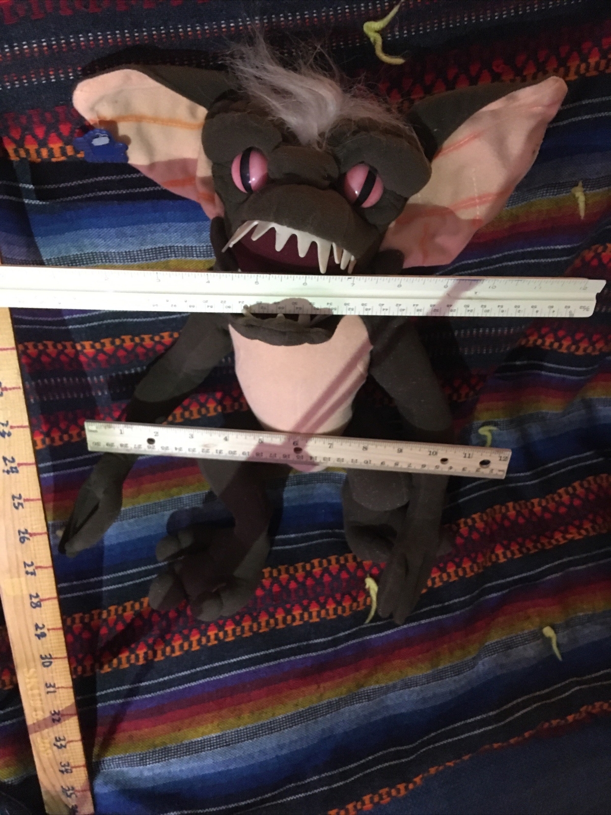 Picture 12 of 24