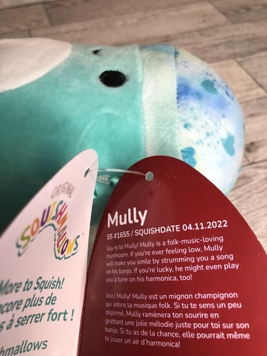 Nuevo con etiquetas Squishmallow Mully Mushroom San Valentín Corazón Tie Dye Azul Verde 5" Mini Peluche - Imagen 4 de 5