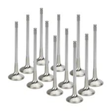 SUPERTECH SPT Exhaust Valves | NEVI-1030-7-12