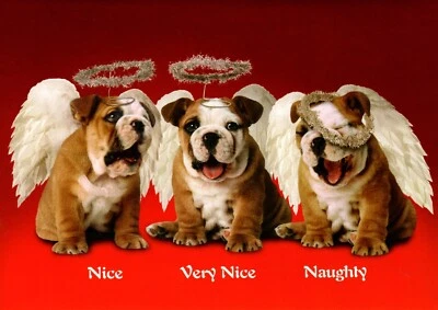 RSVP Funny Merry Christmas Naughty Nice Angel Bulldog Angels Bulldogs Greeting Card
