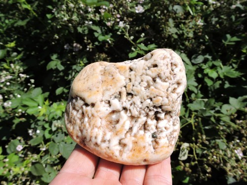 2 UNUSUAL Oregon Rhyolite / Chert Nodule Stones (2 lbs+ Total) Sugar Agates - Picture 14 of 24