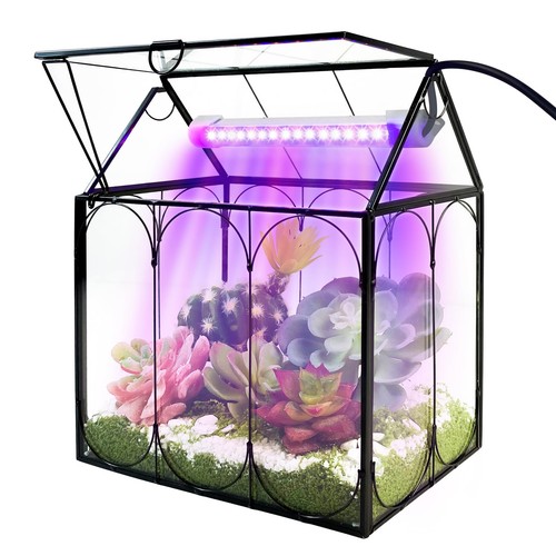 Glass Plant Terrarium Kit with Grow Light