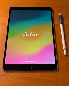 Apple iPad Pro 10,5" Wifi 64 GB schwarz, Akkuzustand 100% TOP, Display NEU