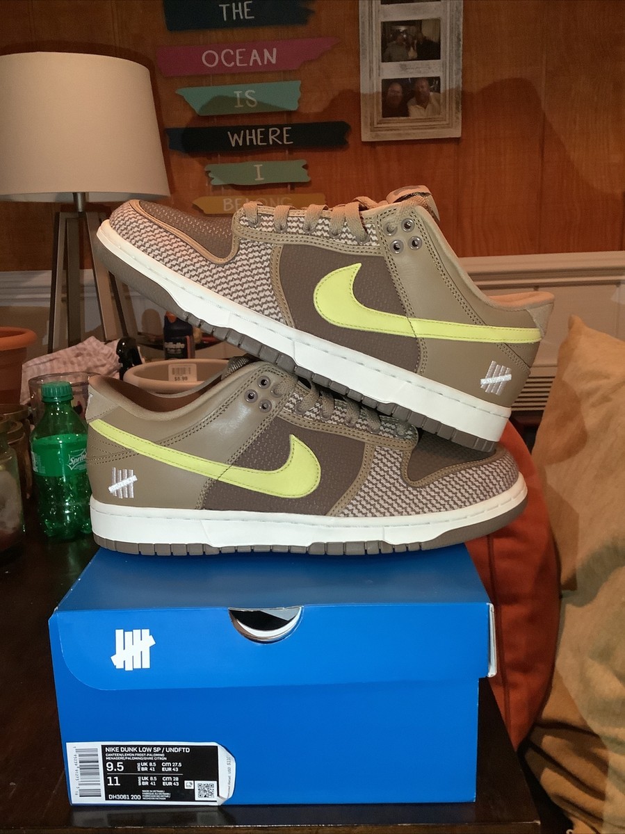 undefeated brown dunks