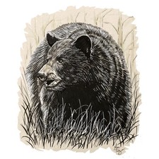 Decal Vinyl Sticker Black Bear in Woods Made in USA