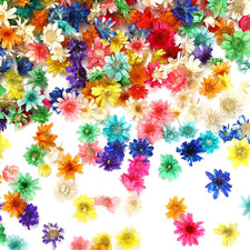 420 Pcs Small Dried Flowers for Crafts, Mini Dried Flowers for Resin Nail Real N