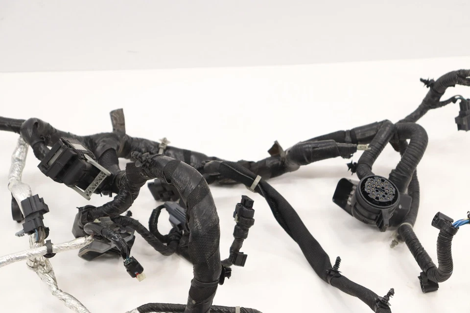 Arnés de cables Voyager 2020 (motor) Foto 3 de 4