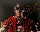 Dennis Rodman Signed METALLIC Photo 8x10  NWO Bulls Worm Autograph HOF JSA HOGAN