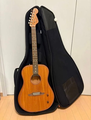 Fender Eco Highwayseries Gig Bag Included