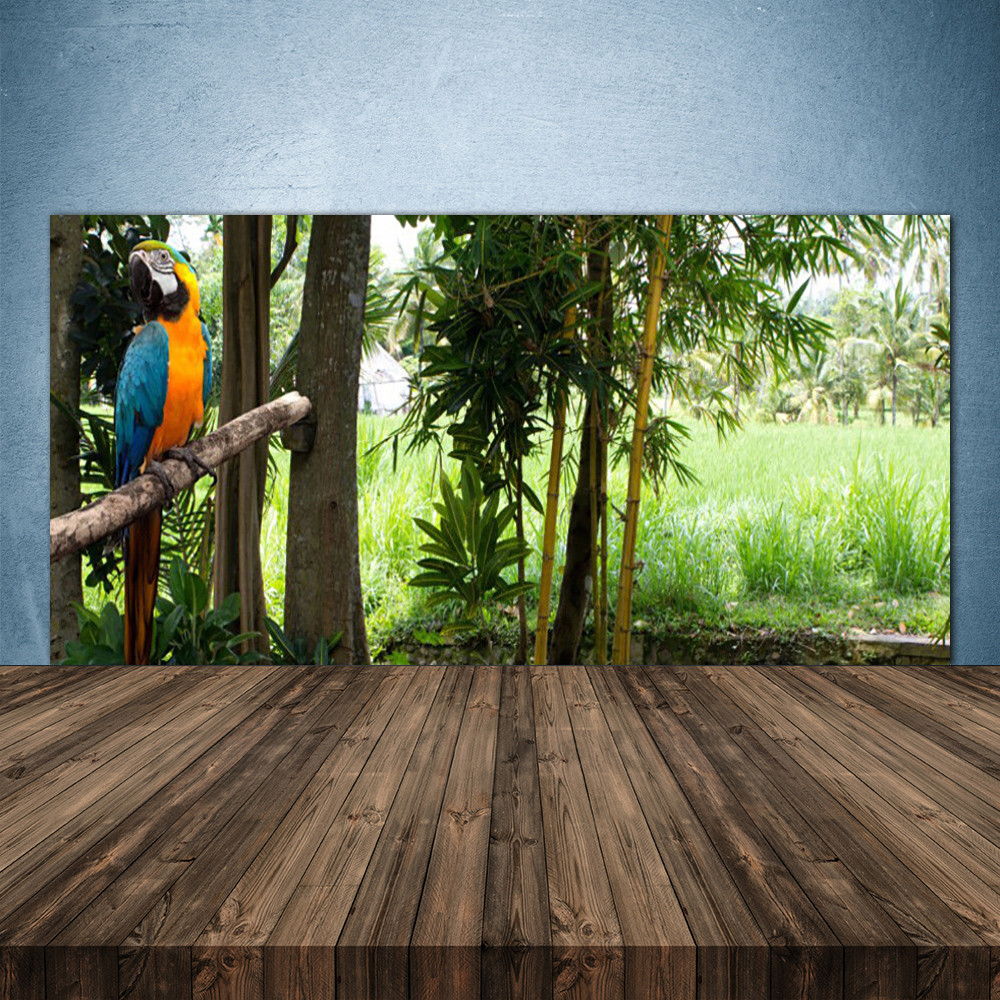 Crédence de cuisine en verre 140x70 fond de hotte panoramique nature arbres perroquet