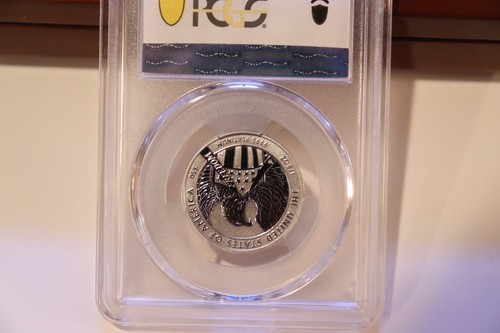 2007-W American Eagle 10th Anniversary Platinum Coin Set, PCGS PR70 & PR69 DCAM. - Picture 3 of 16
