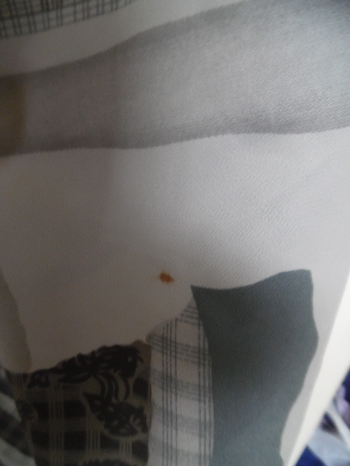 Picture 5 of 5