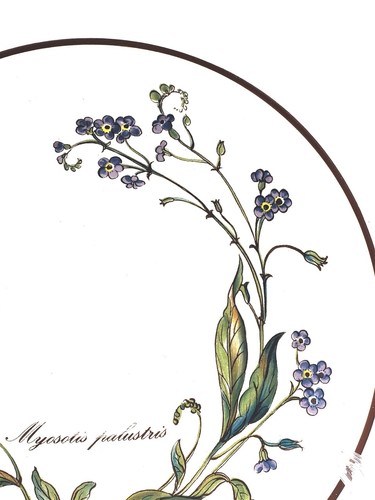 Villeroy Boch Porcelain Botanica Replacement Saucer, Forget Me Not, BLUE READ - Picture 7 of 10