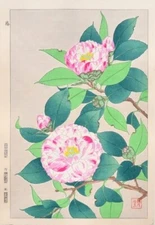 Kawarazaki Shodo Woodblock Print “Camellia” TSUBAKI Japanese Art Vintage