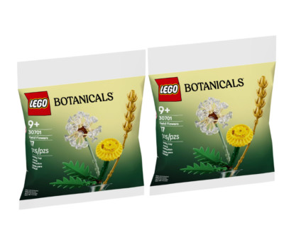 LEGO Botanicals 30701 Field Flowers Two Completed Set Sealed Polybag Gift NEW