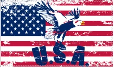 USA Eagle 3'X5' Flag ROUGH TEX® 100D
