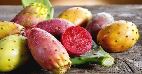 Fico D’India BIO 3 varieta' lotto 3 pale frutti grandi selez. 1a. scelta SALENTO - Foto 5 di 11