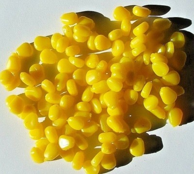 Fake Imitation Zuckermais 20 Stück stark aromatisierte Karpfen Hakenköder Monster Krabbe