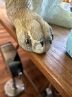 Resin Labrador Figure Dog wearing boots.    H-26.5” W-12” D-21” — photo 5