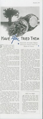 1936 Celery Roots Recipes Creamed Au Gratin Patties Salads H Briegleb Story FW1