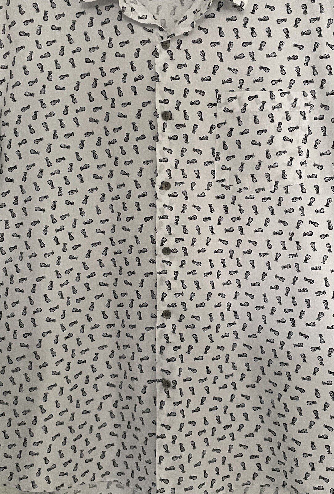 Picture 6 of 20