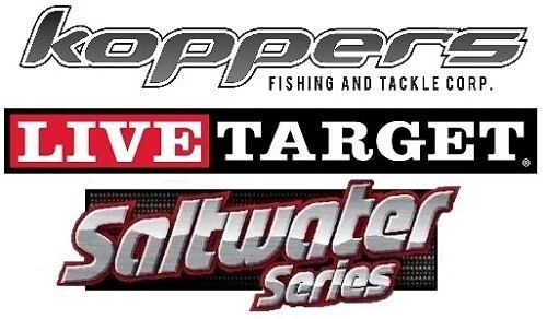 RARE Live Target Mullet (MUW120T901) Walking Topwater Bait - Image 4 of 4
