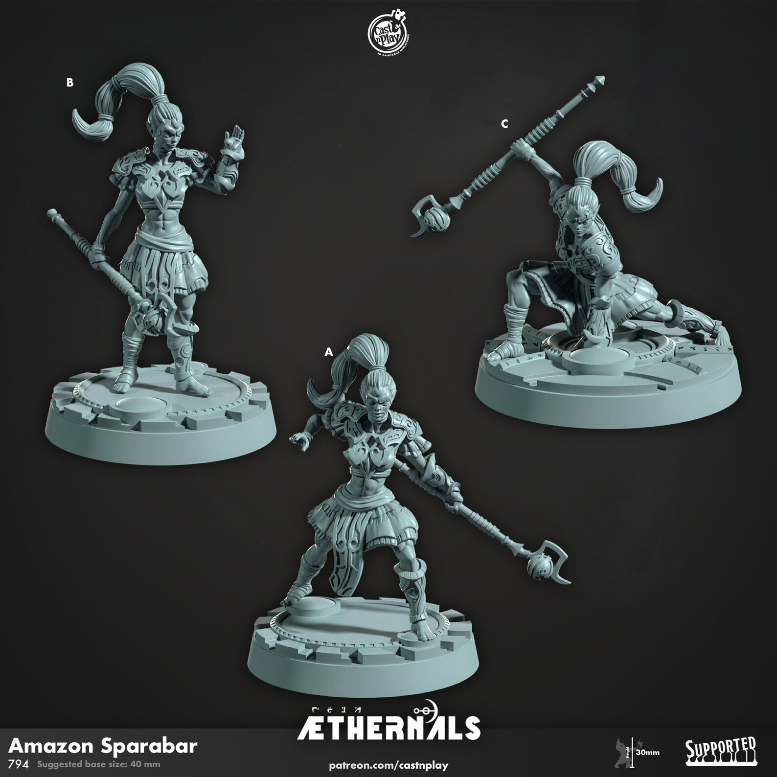 Aethernals CastNPlay D&D Miniature Wargaming 3D Printed