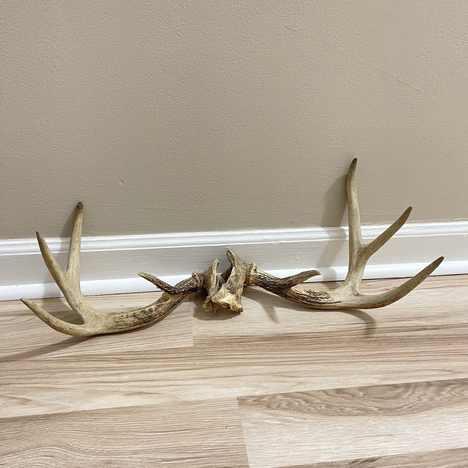 Picture 6 of 24