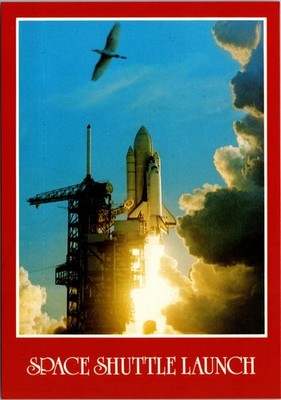 Space Shuttle Launch Chrome Postcard Seagull NASA