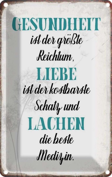 Blechschild 30X20 Cm Gesundheit Liebe Lachen Medizin Spruch Zitat Deko Geschenk-image