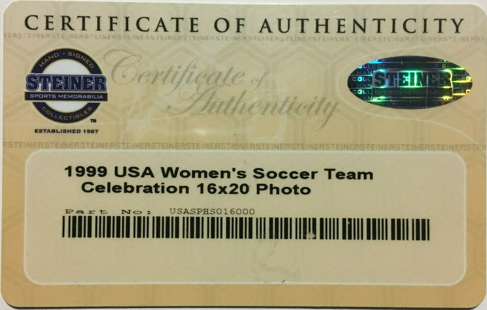 1999 US Women's World Cup soccer team signed 16x20 photo framed Mia Hamm STEINER - Image 2 of 2