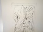 Bild 4 von 5