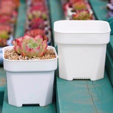 2 3 4 White Square Plastic Nursery Pots *HEAV...