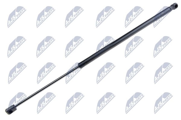 NTY AE-BM-031 Gasfeder, Koffer-/Laderaum FüR BMW-image