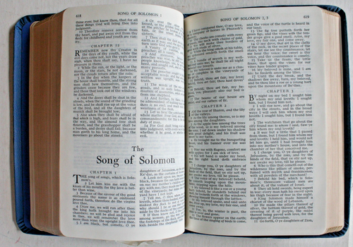 Bible maçonnique Holman 1968 présentée 1971 par The Donnelley Square Club - Photo 11/12