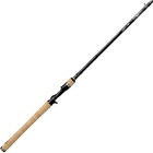 Daiwa Steelhead Heavy Fishing Rods & Poles