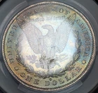 1883-O Morgan Dollar $1 CACG MS62 STUNNING BLUE REV TONING! - Ships Free!
