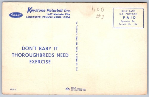 K23/ Lancaster Pennsylvania Postkarte Chrome Keystone Peterbilt Trucks 419 - Bild 2 von 4
