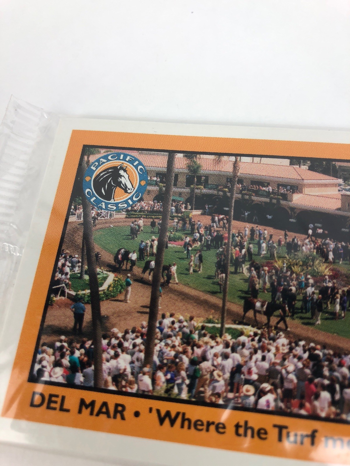 RARE 1998 DEL MAR “ PACIFIC CLASSIC" Horse Star Cards , Fast Shipping