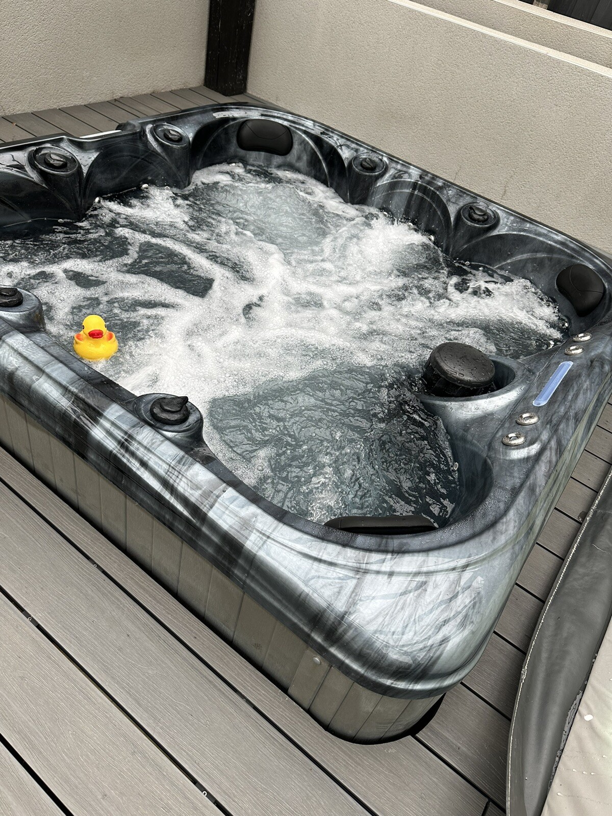 blue whale hot tub spa eBay